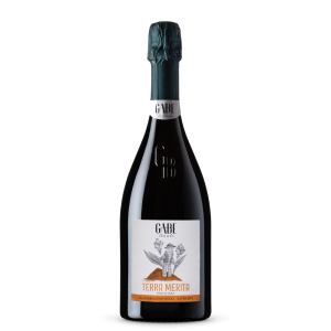 TERRA MERITA Conegliano Valdobbiadene DOCG Rive di Guia Extra Dry - Gabe Tenute